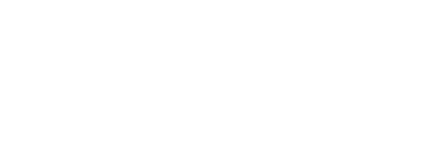 Reanimate Digital Learning